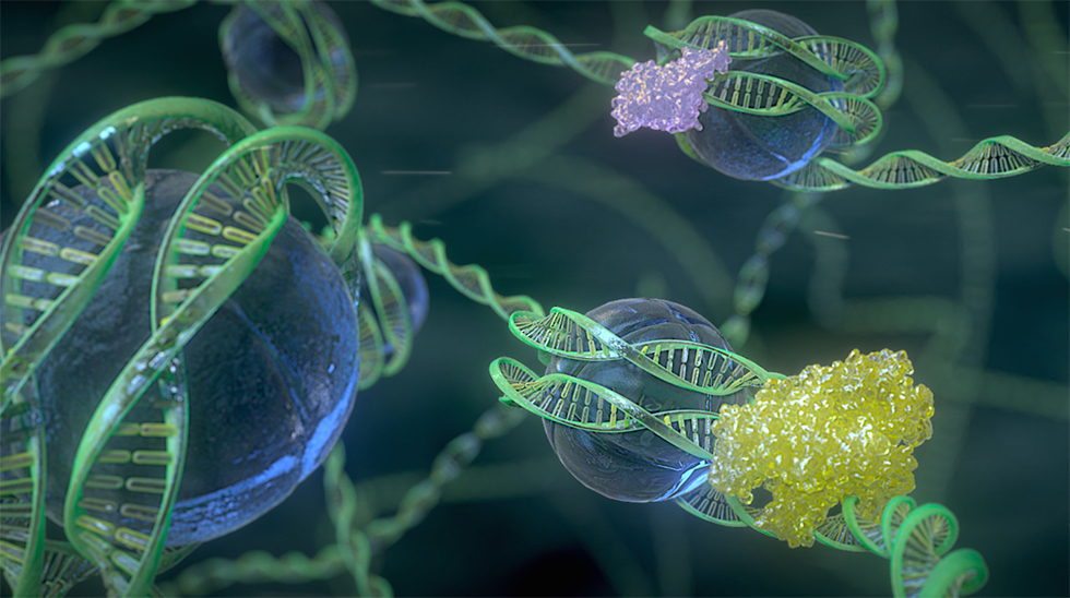 Orchestrating the Genome: The Science of Epigenetics