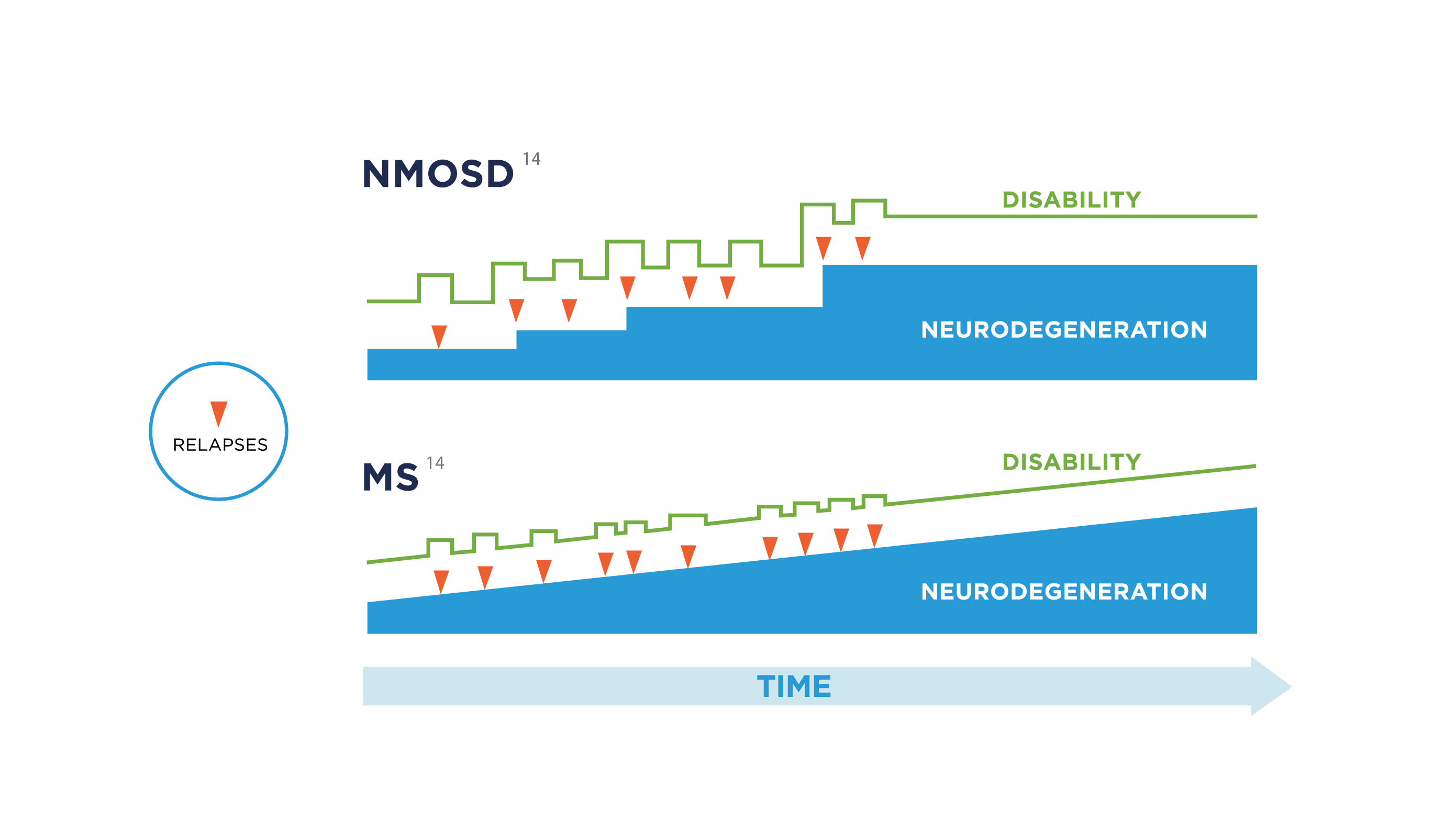 The amount of neurodegeneration that people with NMOSD suffer is almost exclusively related to their relapses. This is different from MS, which is a progressive disease from the start, no matter how it manifests, as disability tends to accumulate relentlessly.<sup>14</sup>