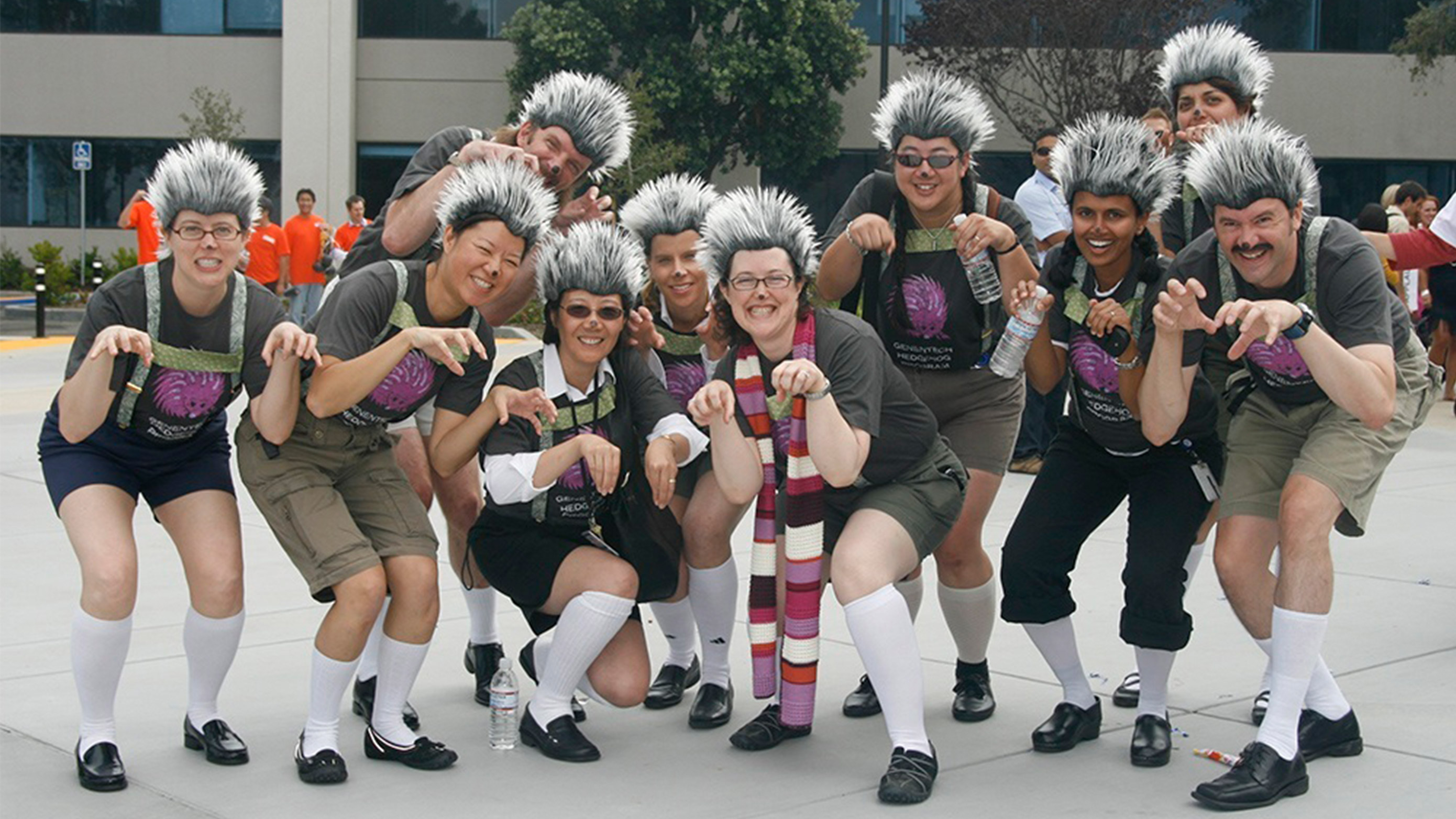 Employees dressed up in honor of the “hedgehog pathway”at the 2009 Product Development Pentathlon. 