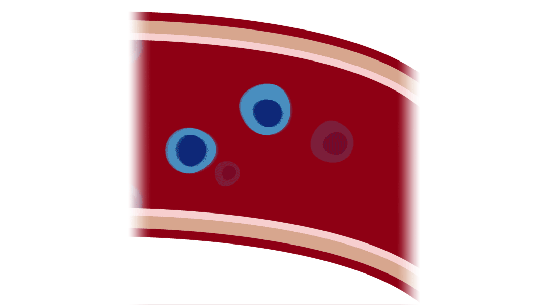 Genentech Advances in the CancerImmunity Cycle