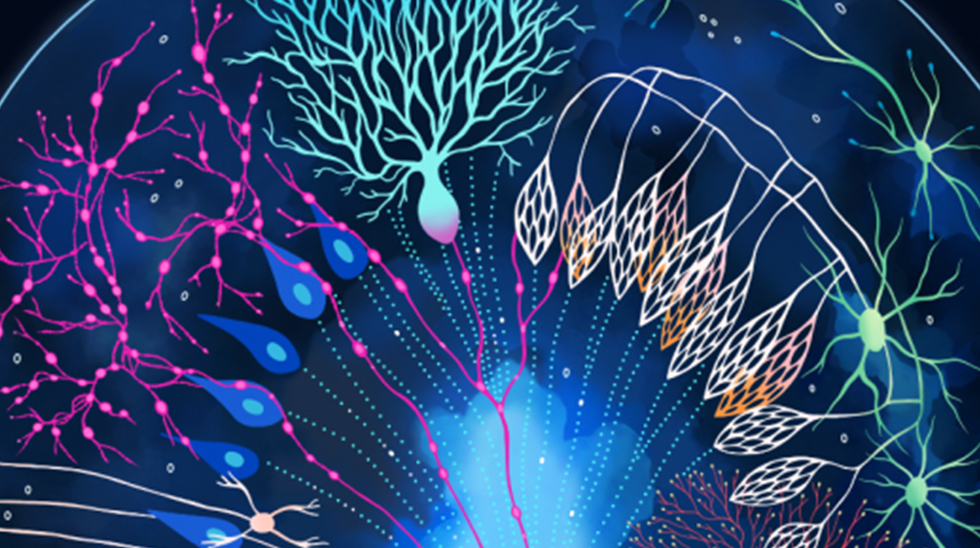 Connecting the Dots in Alzheimer’s Disease