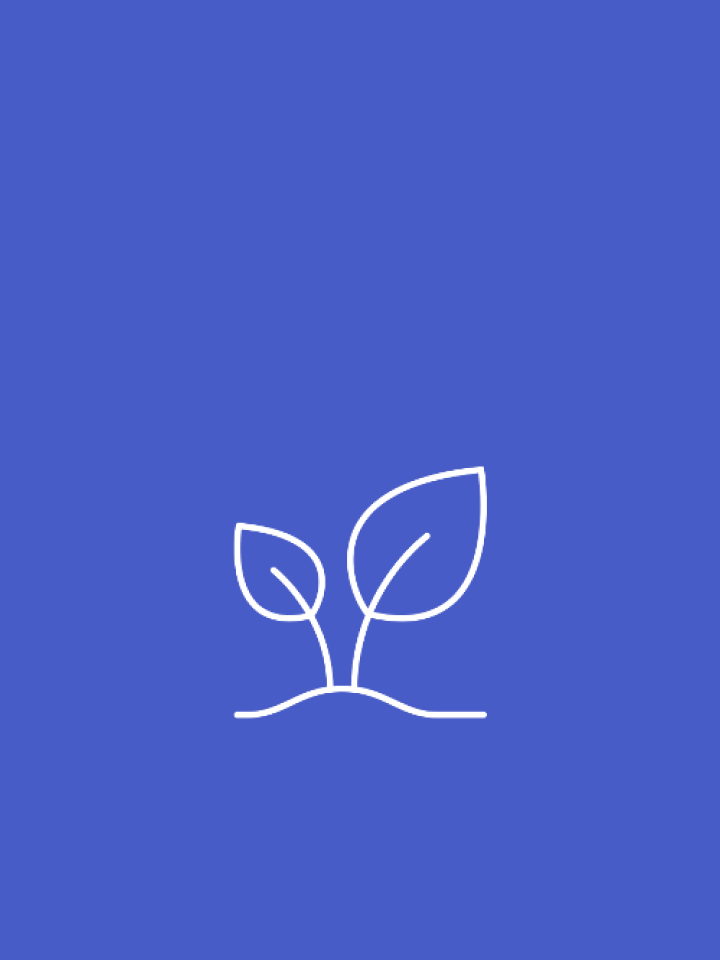 Innovating & Scaling Local Impact