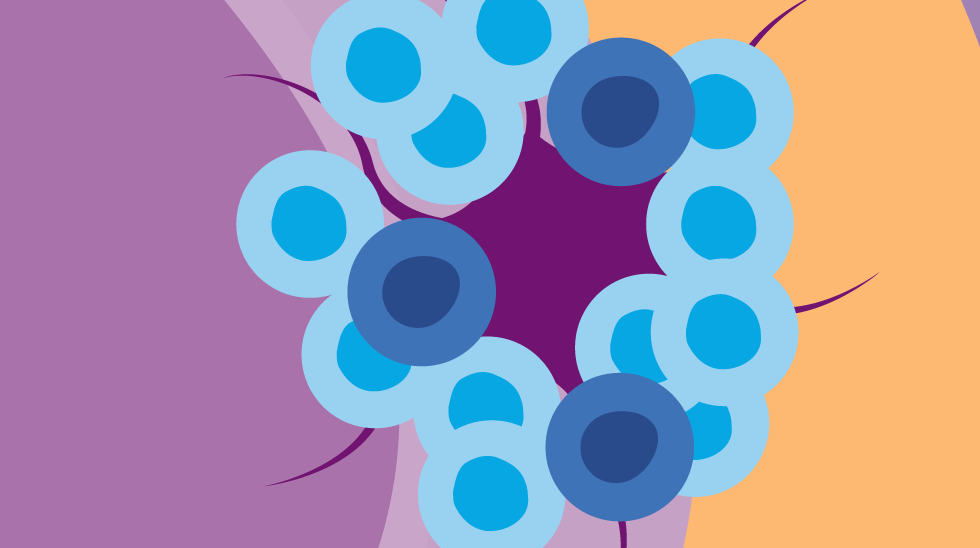 Genentech The Immune System In Multiple Sclerosis