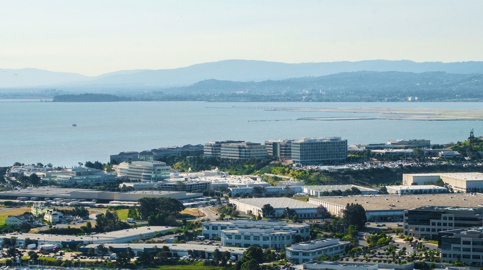 Renewing Our Commitment to Sustainability