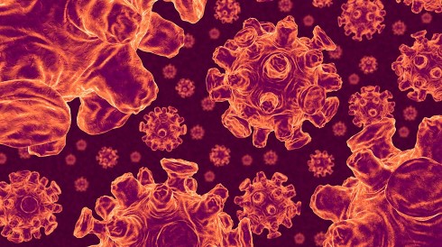 The Achilles' Heel of Influenza