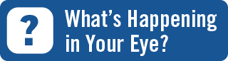 What’s Happening in Your Eye?