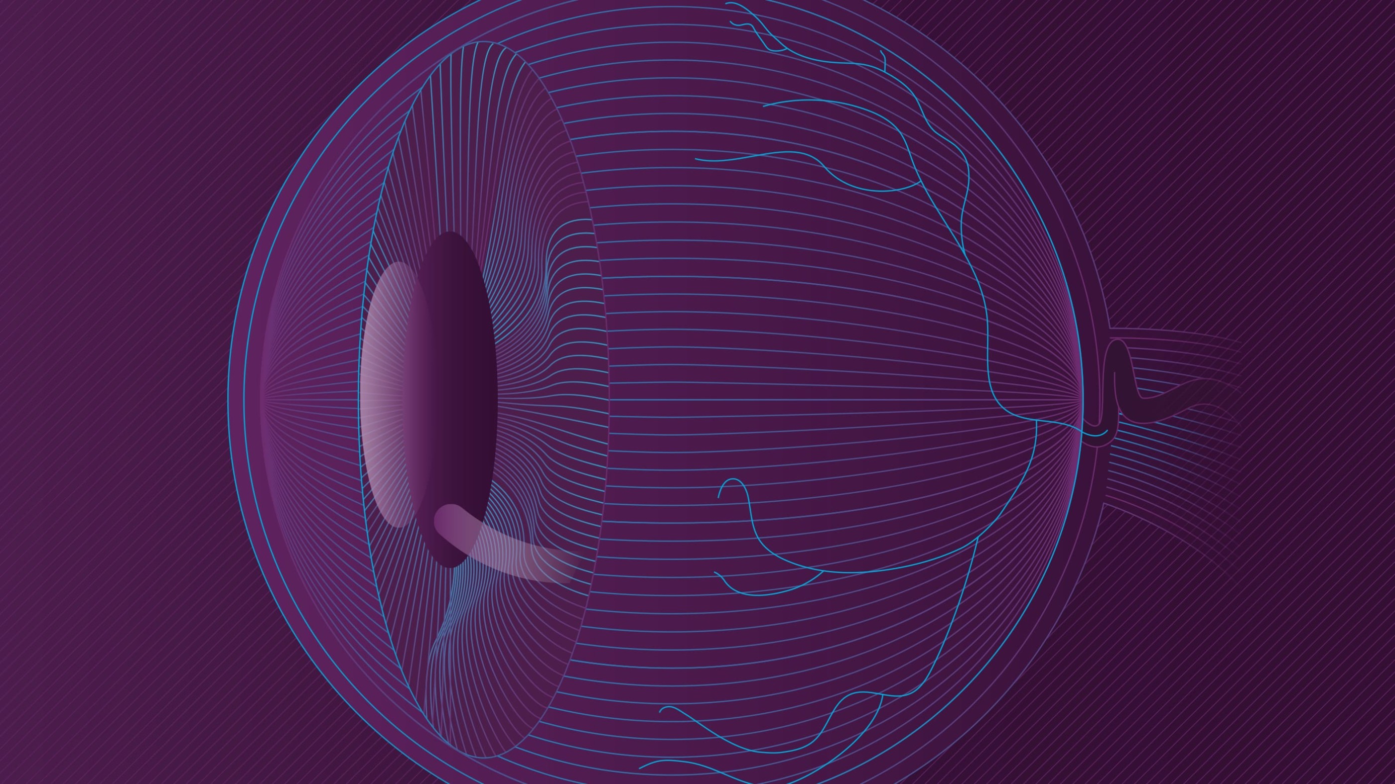 Genentech understanding wet age related macular degeneration